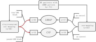 Three-dimensional electroanatomical mapping guidelines for the selection of pacing site to achieve cardiac resynchronization therapy